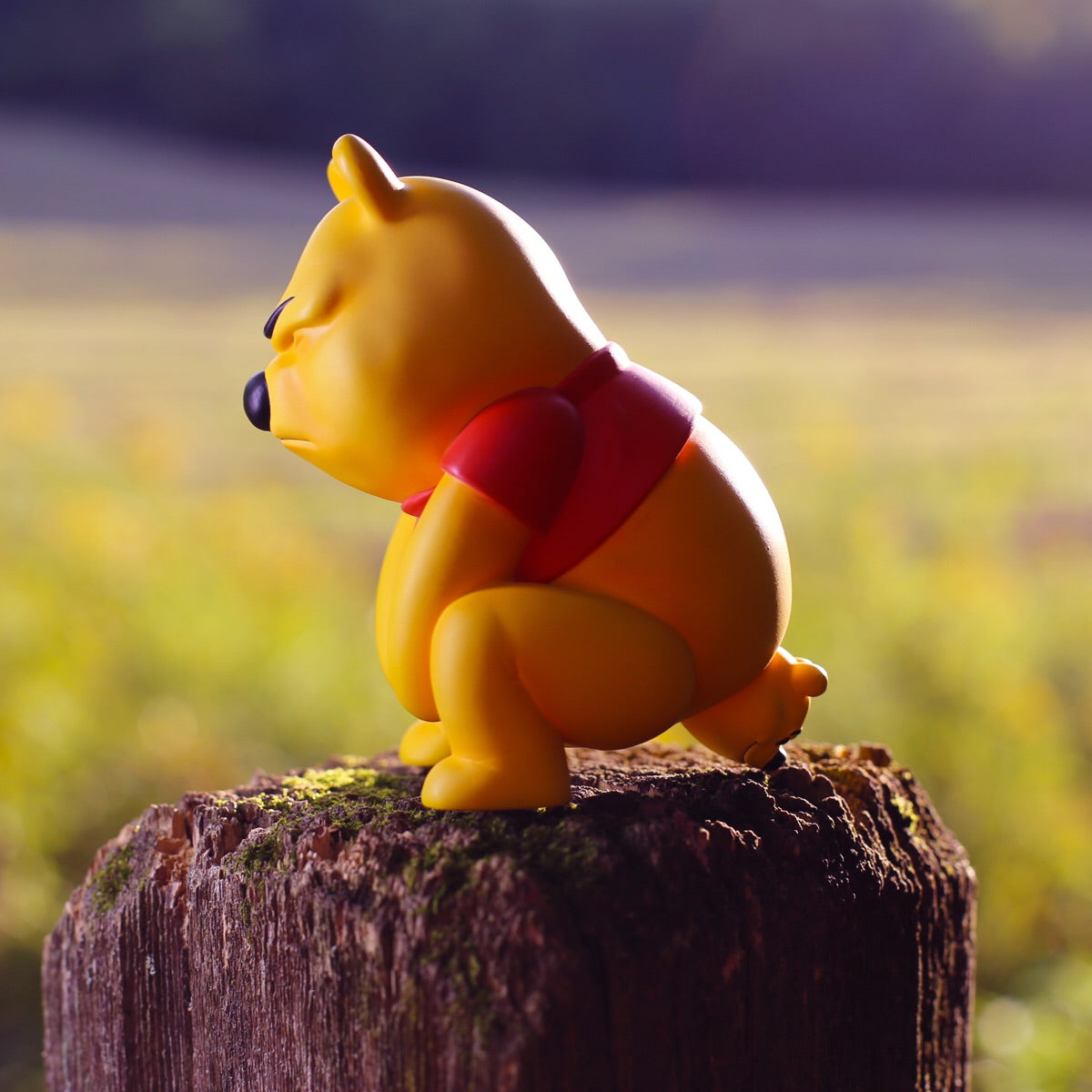Pooh Pooh Art Figure
